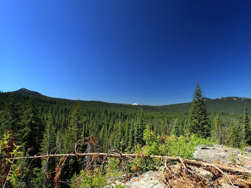 Mount McLoughlin from the Stuart Falls Trail