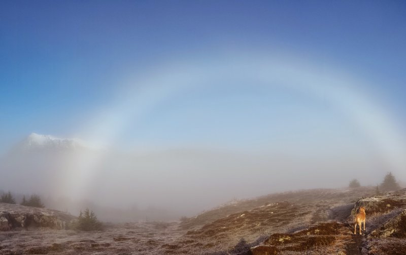 Halo in the ice fog