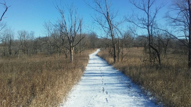 Bluebird trail in -5°f conditions
