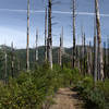 Climbing an exposed ridge east of Bald Mountain