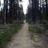 The lower section of the Windigo Pass Trail