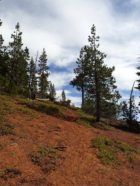 Bright red pumice near the summit of Tenas Peak