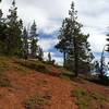 Bright red pumice near the summit of Tenas Peak