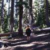 Through the forest at the start of the trail