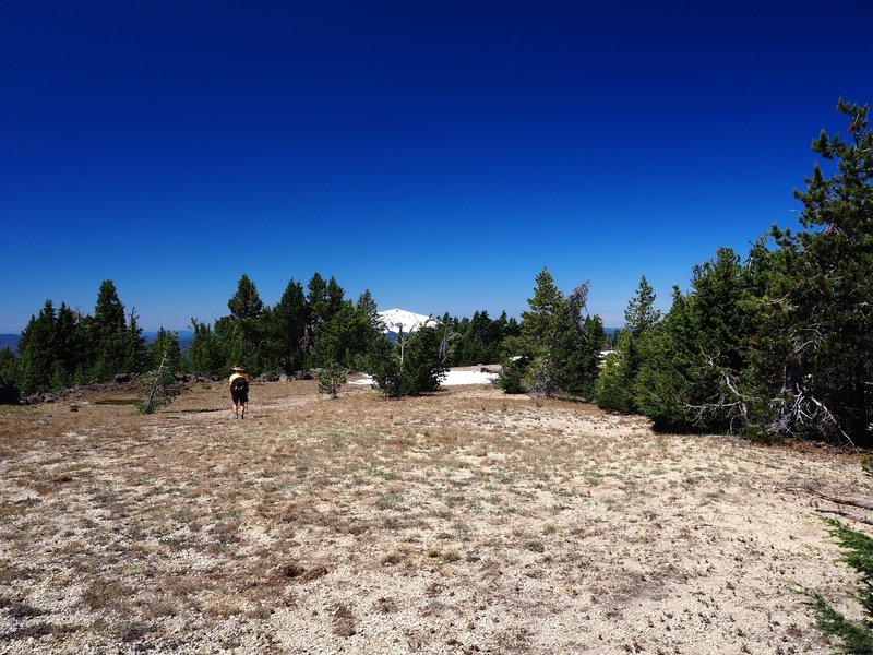 Flat ground just before the final climb to the summit.