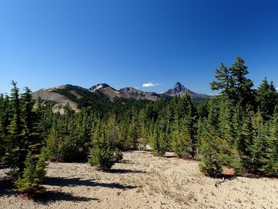 Mount Thielsen from along the trail.