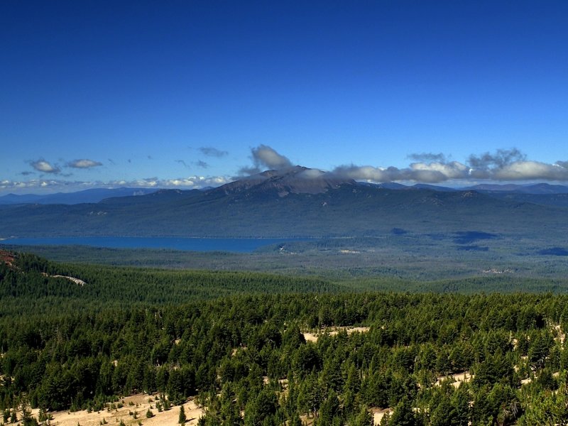 Mount Bailey from Tipsoo Peak