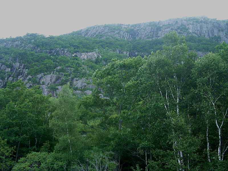 The Precipice and Orange and Black Trail - Acadia National Park