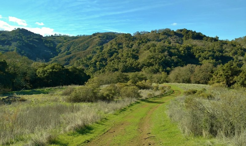 Cottle Trail ends after running through a high meadow nestled among the forested foothills of the Santa Cruz Mountains.