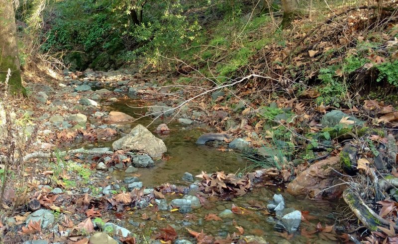 Cherry Canyon Creek at a Cottle Trail crossing.