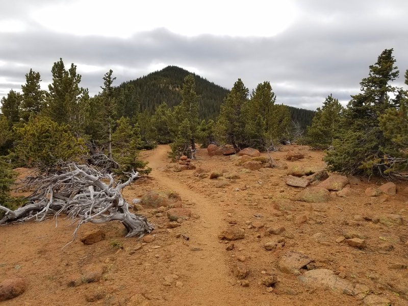 Along the ridge to Mt Rosa