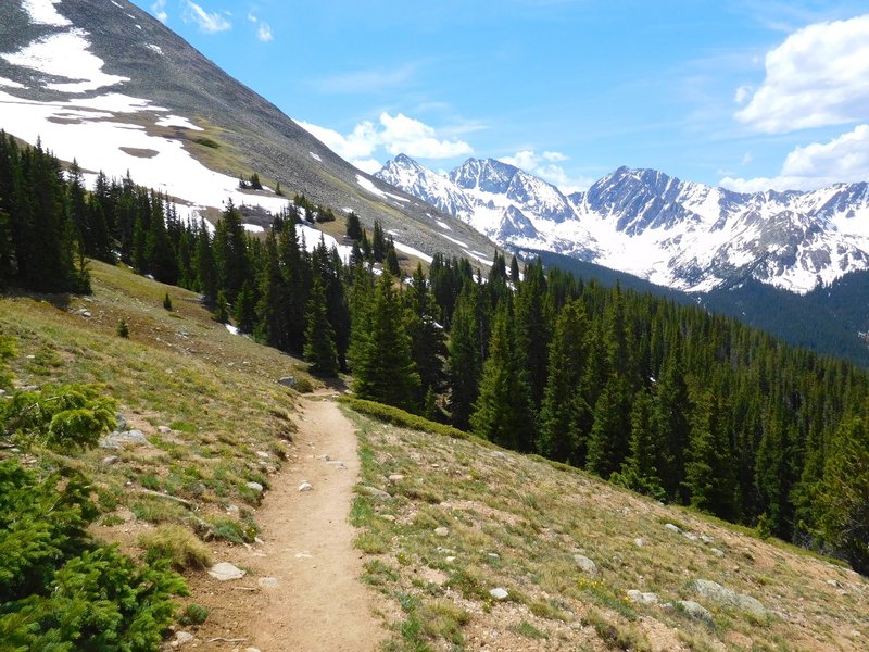 Huron Peak trail