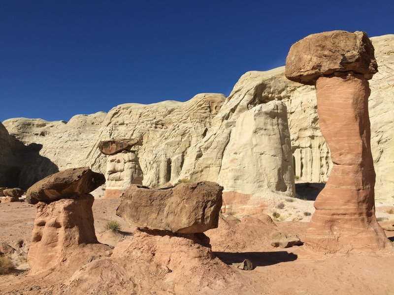 Toadstool Hoodoos!