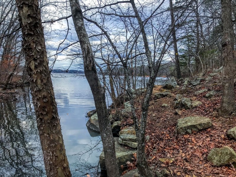 Rocky shore on the lake