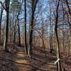 Splitting of the loop trail