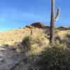 A mild incline out of Mesquite Canyon