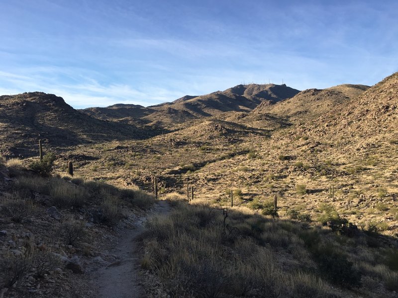 Looking back across the rolling hills