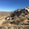 Interesting rock right off the trail