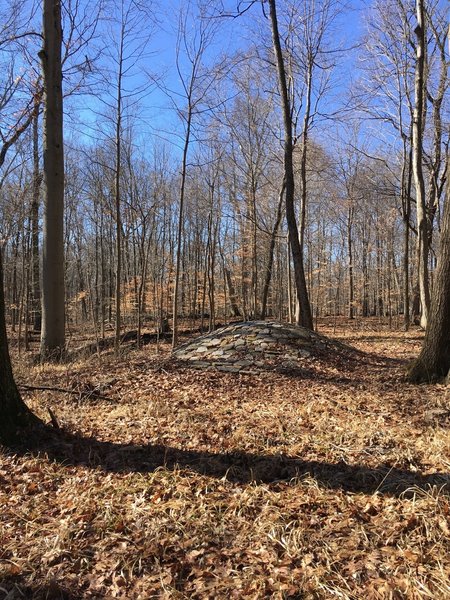 Stone Circle on the trail