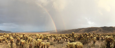 Double Rainbow At Sunset