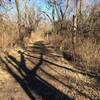 A section of the dirt path area of the trail system.