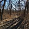 A nice section of the dirt path trails.