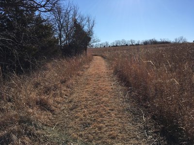 Grass path south of the central pond.