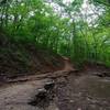 The Pink Trail at Turkey Mountain.