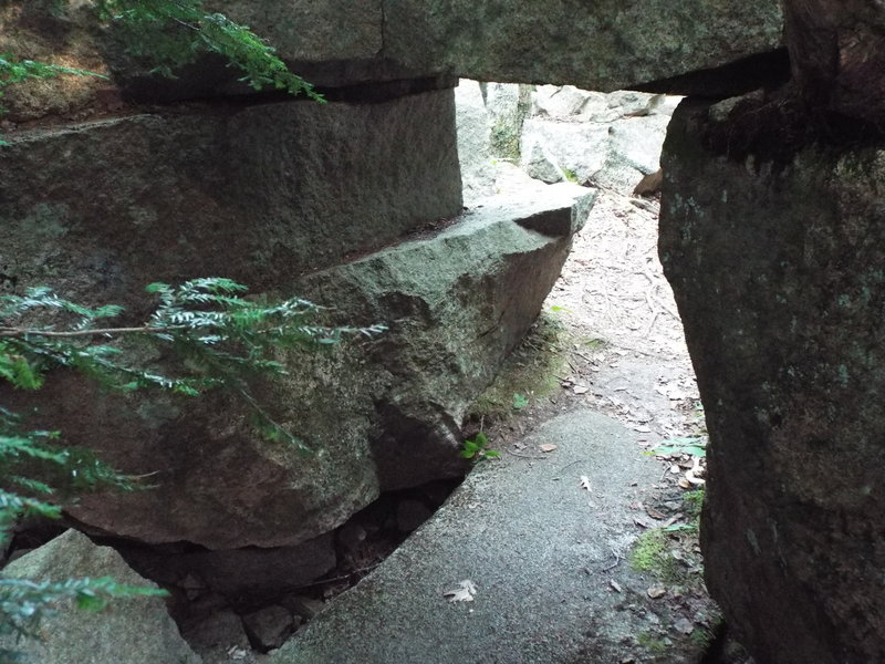 The Donut Hole - Homans Trail - Acadia National Park