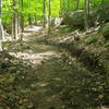 Stratheden Path - Acadia National Park