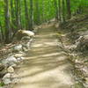 Stratheden Path - Acadia National Park