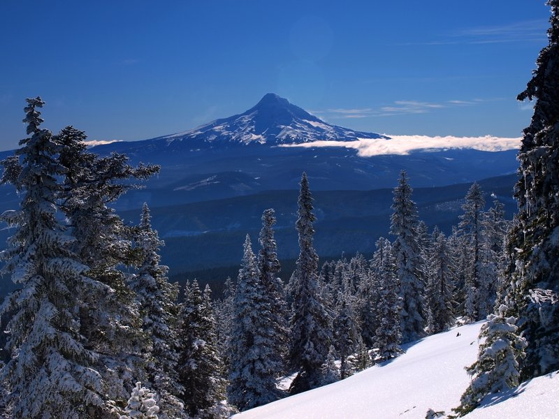 Mount Hood from Mount Defiance in winter