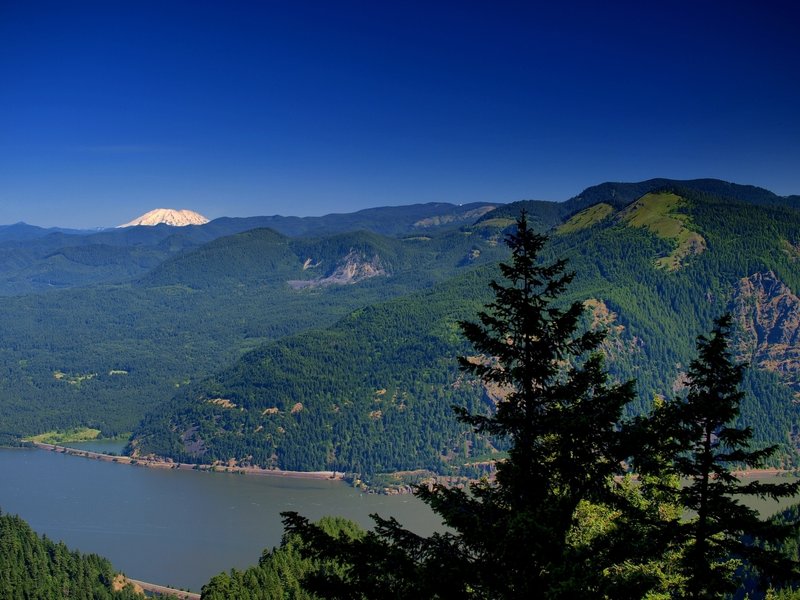 Mount Saint Helens from the Starvation Ridge Trail