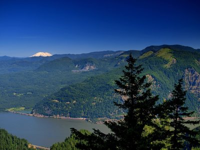 Mount Saint Helens from the Starvation Ridge Trail