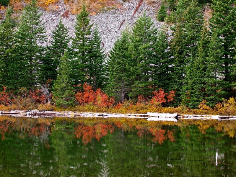 Fall at Warren Lake