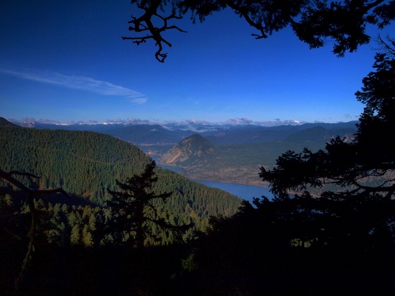 Columbia River from the Starvation Ridge Trail