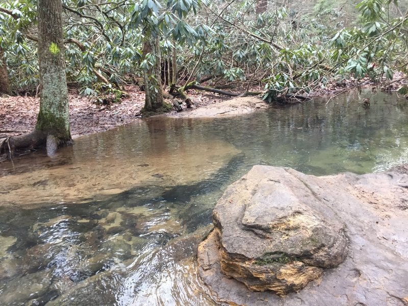 Tibbs Run at one of two stream crossings on Tibbs Crossing Loop