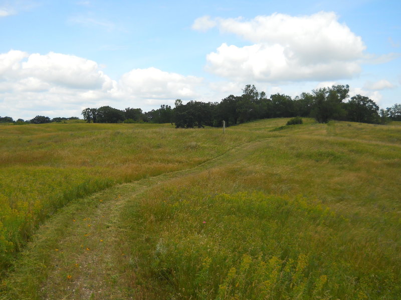 Freshly mowed NCT through the prairie