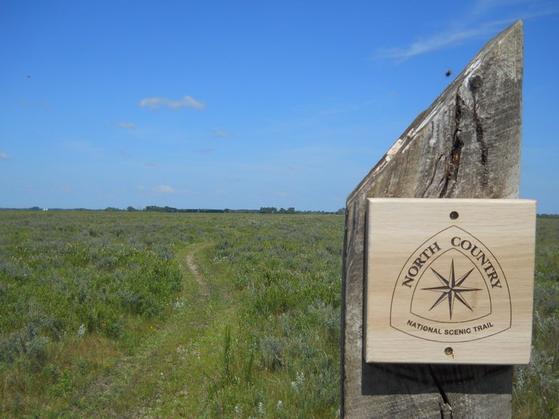 The NCT is marked with these angled wooden posts with emblem plaques.