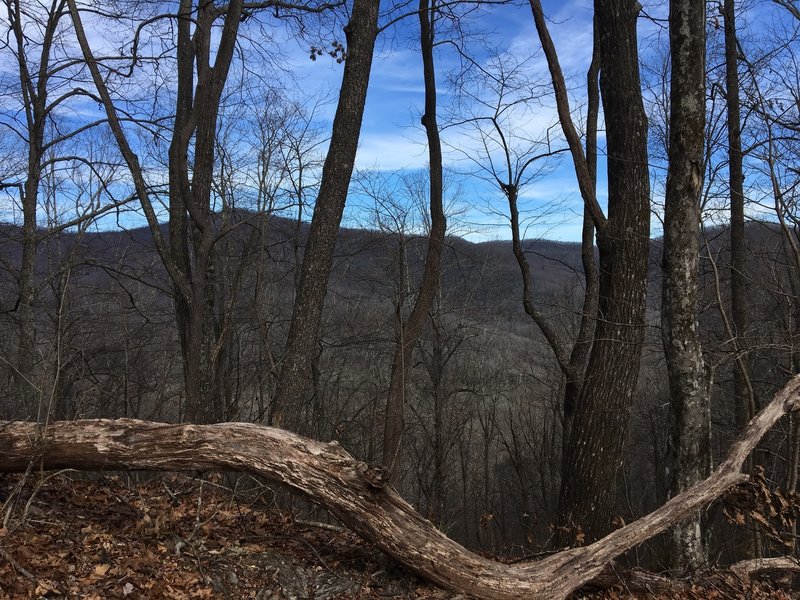 View from Bennett Gap/Coontree Loop Trail.