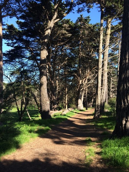 Near the start of the trail at 25th Street.