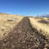 Typical section of trail that is wide but rocky