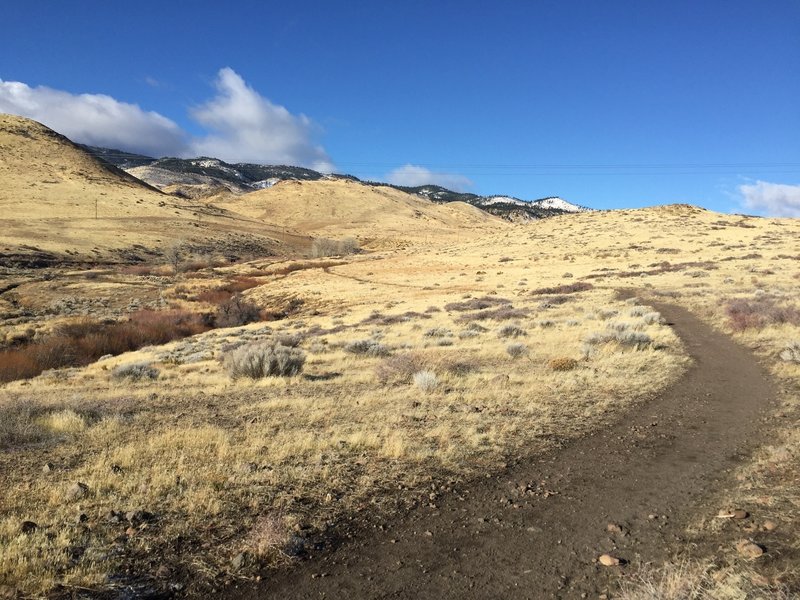 The trail travels west towards the foothills along a small creek