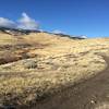 The trail travels west towards the foothills along a small creek