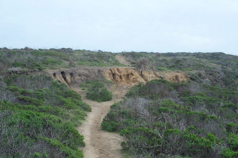 A shortcut goes straight ahead at the turn. Here, you get an idea of how windswept this area is.