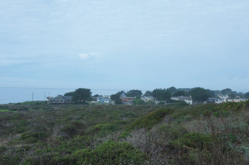 Looking back at Moss Beach, you can see the homes that sit on top of the bluff.