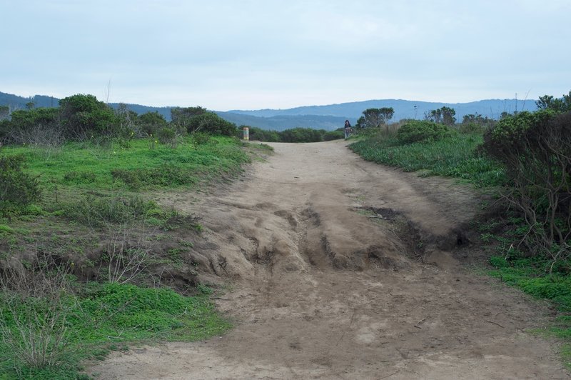 The trail as it approaches the intersection with the Jean Lauer Trail.