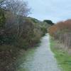 The trail is gravel as it makes its way below the bluff. Birds can be seen flying among the bushes in this corridor.