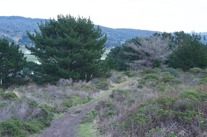 The dirt trail drops down from the Jean Lauer Trail toward the airport.