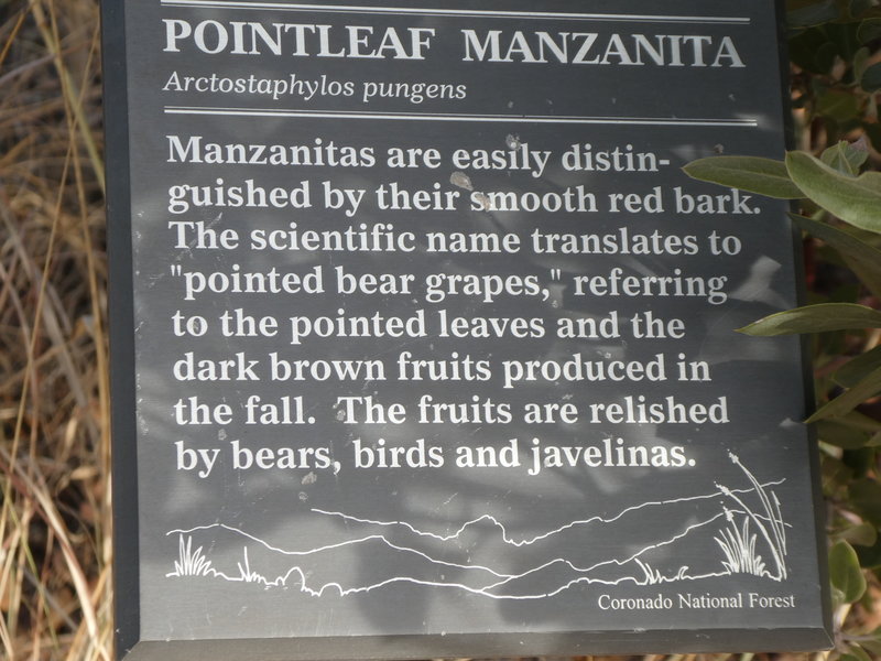 One of the many informational plaques along the trail